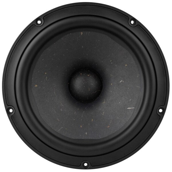 Peerless by Tymphany NE265W-04 10" Paper Cone NE Woofer 4 Ohm